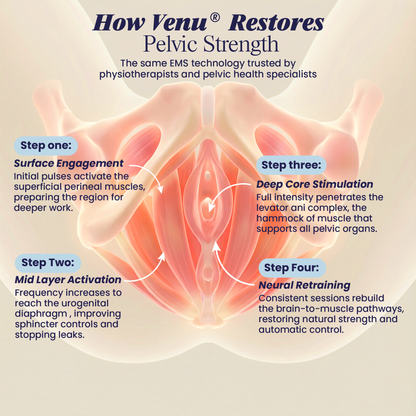 Venu® PelviTone Luxe