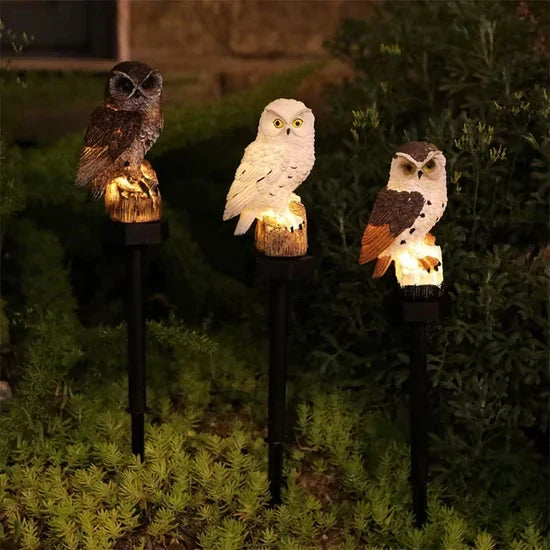 🦉Brighten your garden path today Solar Owl Pathway Light