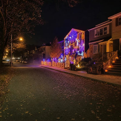 Christmas LED Mesh Curtain Lights for Outdoor Walls