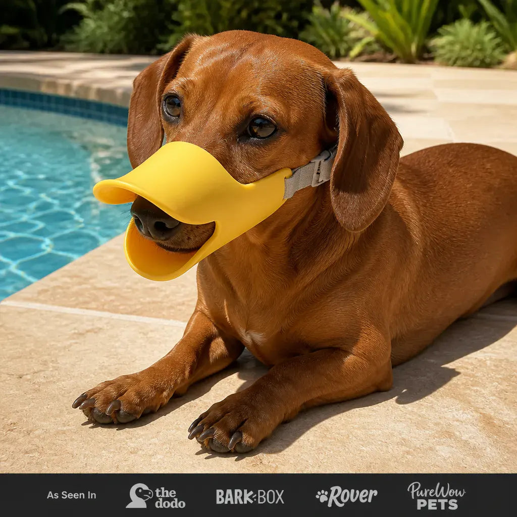 HushMuzzle – Soft Silicone Duck-Bill Dog Muzzle for Small Dogs